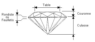 Les parties de la taille brillant