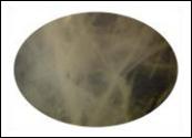 Opalescence