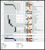 Cliquez pour agrandir le tableau des caract&eacute;ristiques des pierres gemmes