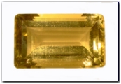 Orthose rectangle pans coupés de 48,50 carat