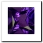 Am�thyste princesse de 0,60 carat