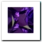 Am�thyste de 0,60 carat : cliquez pour acheter cette pierre gemme
