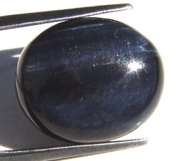Oeil-de-faucon